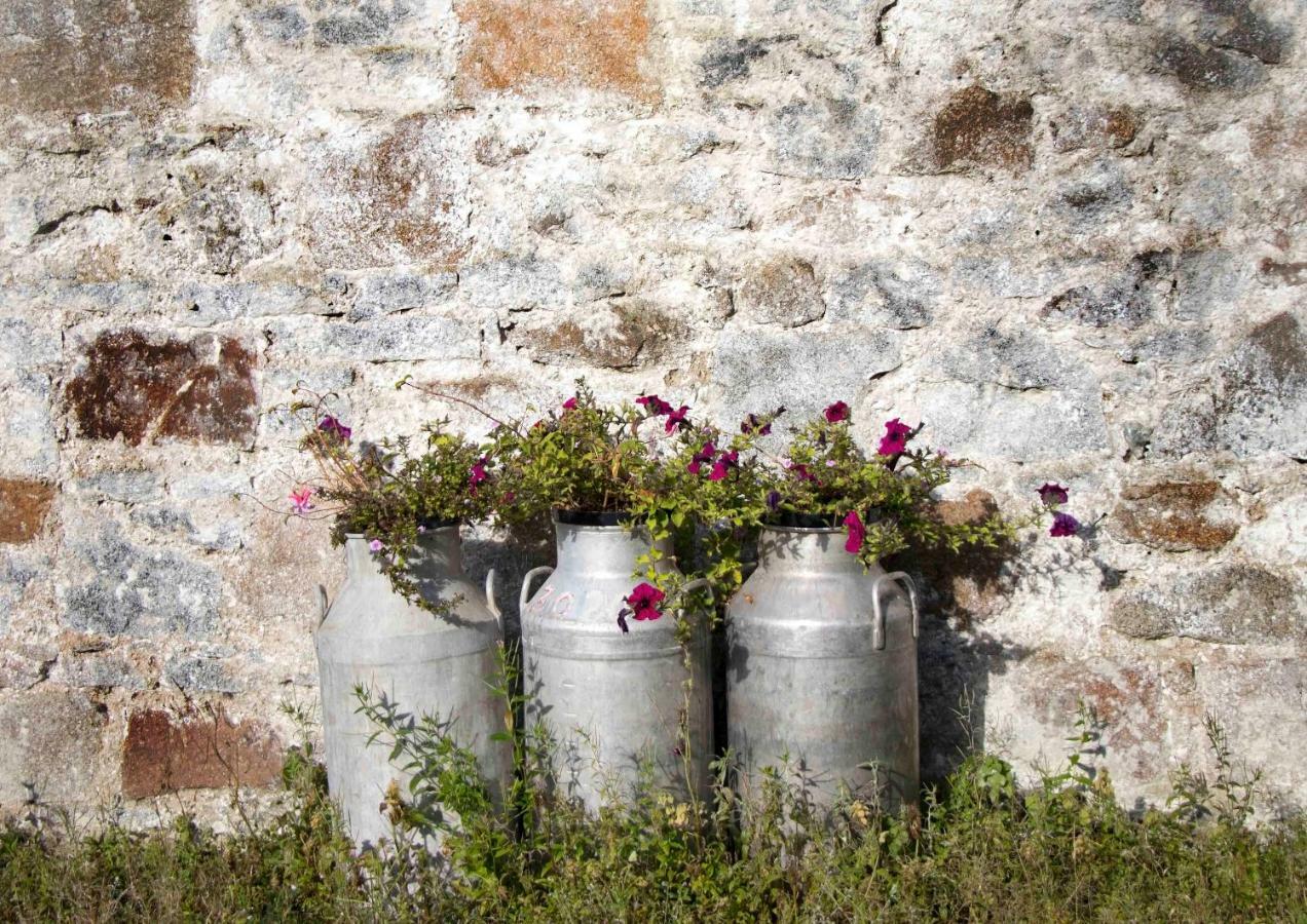 Bramble Cottage Rathfriland Exteriér fotografie